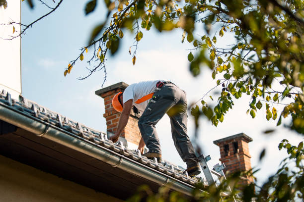 Tile Roofing Contractor in Loretto, TN