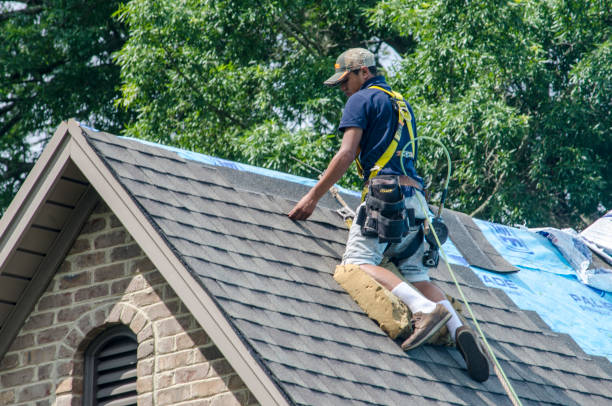 Best Roof Gutter Cleaning  in Loretto, TN